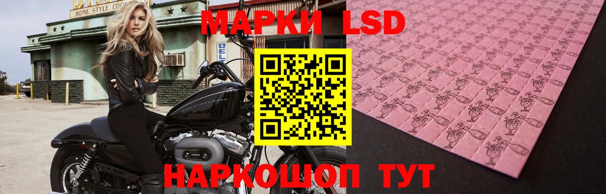 Новосибирск  Лсд 25 экстази ecstasy  Лсд 25 экстази ecstasy  Лсд 25 экстази  Вход с VPN 