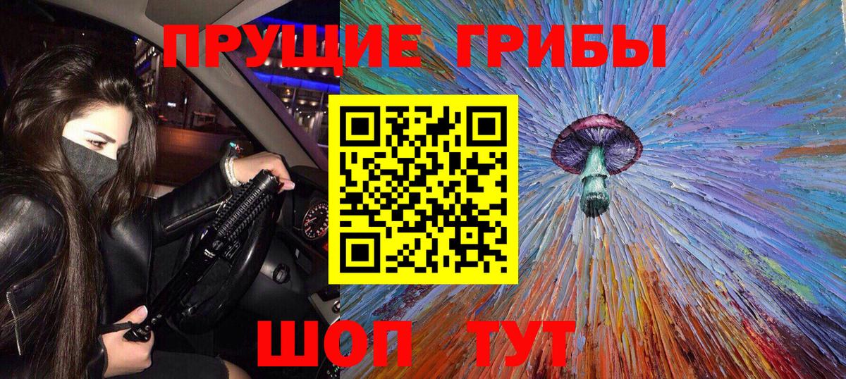 Псилоцибиновые грибы Magic Shrooms  закладки  Псилоцибиновые грибы Magic Shrooms  Новосибирск  Вход с VPN 