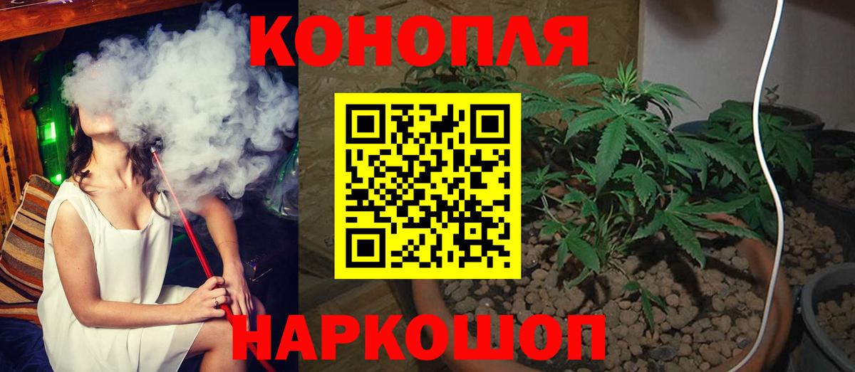 Бошки марихуана ГИДРОПОН Новосибирск
